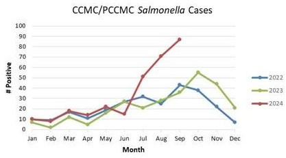 Salmonella Sept 2024