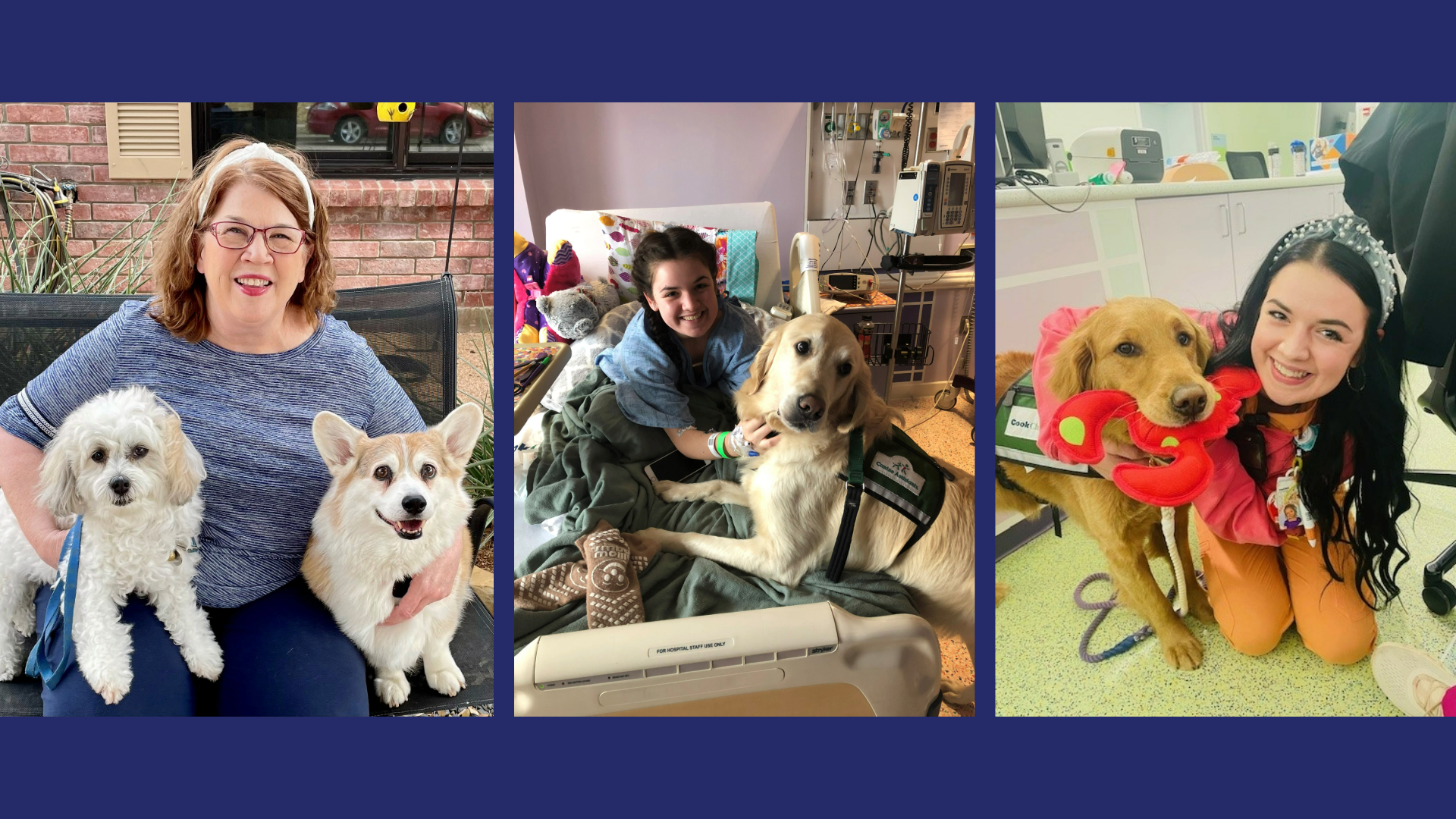 The Impact of Animal Assisted Therapy
