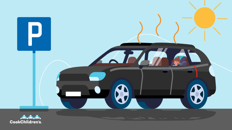 world-cup-2026-hot-car-safety