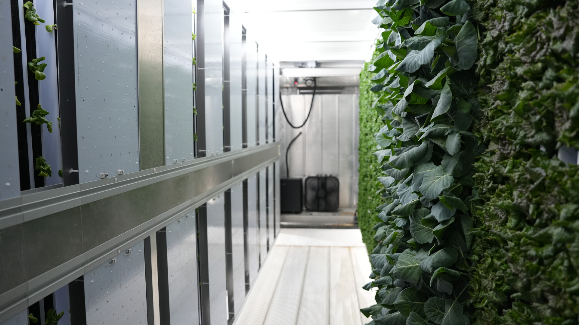 Fresh Link Farms (2)
