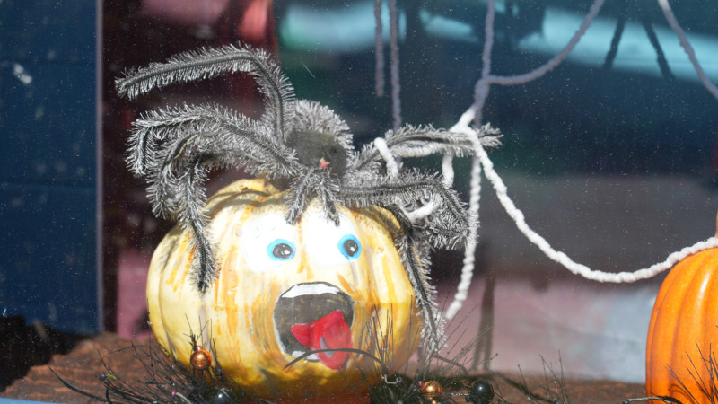 Cook Children's Halloween Deco 2026_4