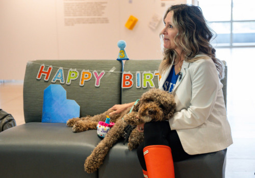 Frank the Therapy Dog Turns 3: CSUSM’s Animal‑Assisted Therapy Boosts Student Mental Health