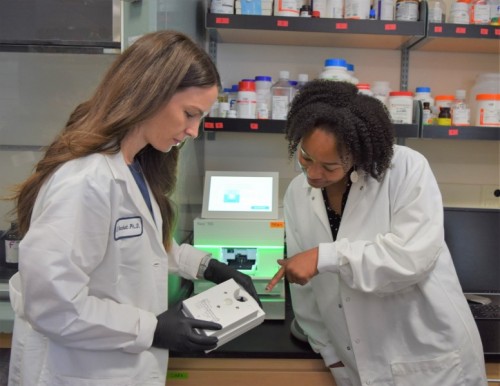 Thumbnail: Biology Professor Wins Award for Up-and-Coming Scientists
