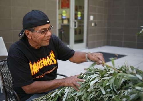 Thumbnail: News Briefs: Lecturer Named to Native American State Body