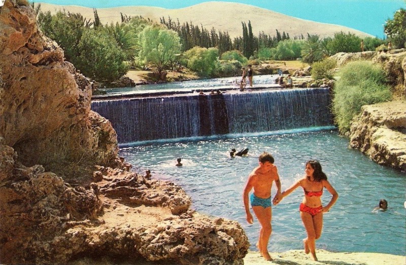“Garden of Eden”