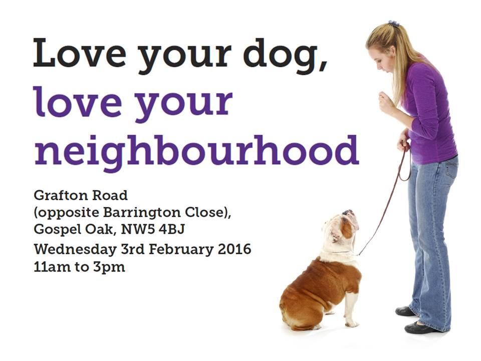 Get your dog microchipped for free