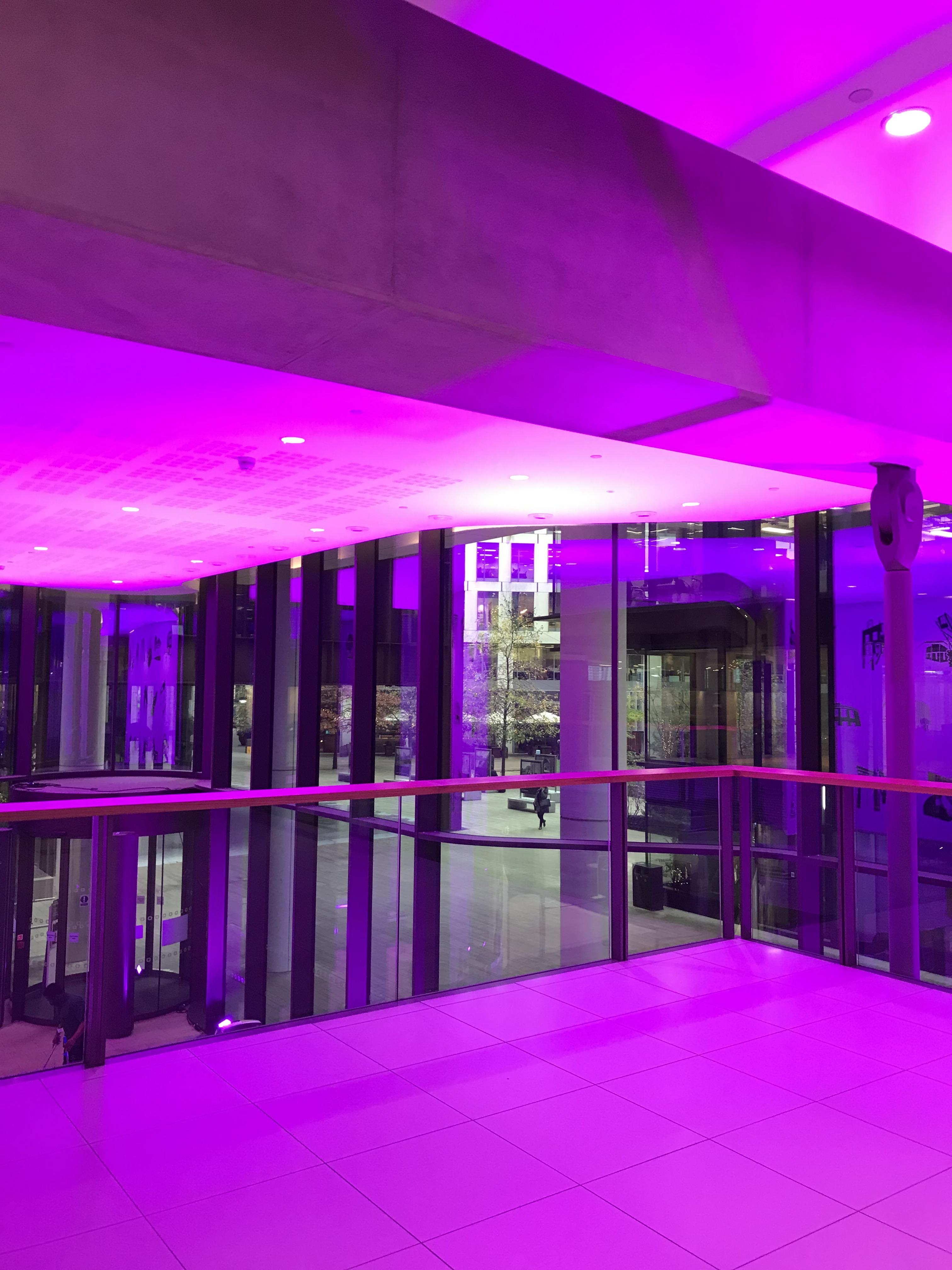 Camden goes purple to mark Disability History Month