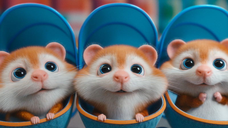 Hoera, gezinsuitbreiding! Albert Heijn stelt hamstergezin voor