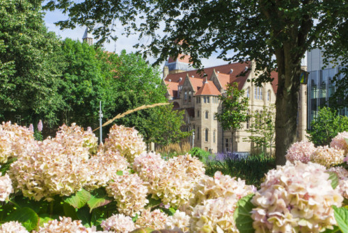 April 2026 Open Research Digest