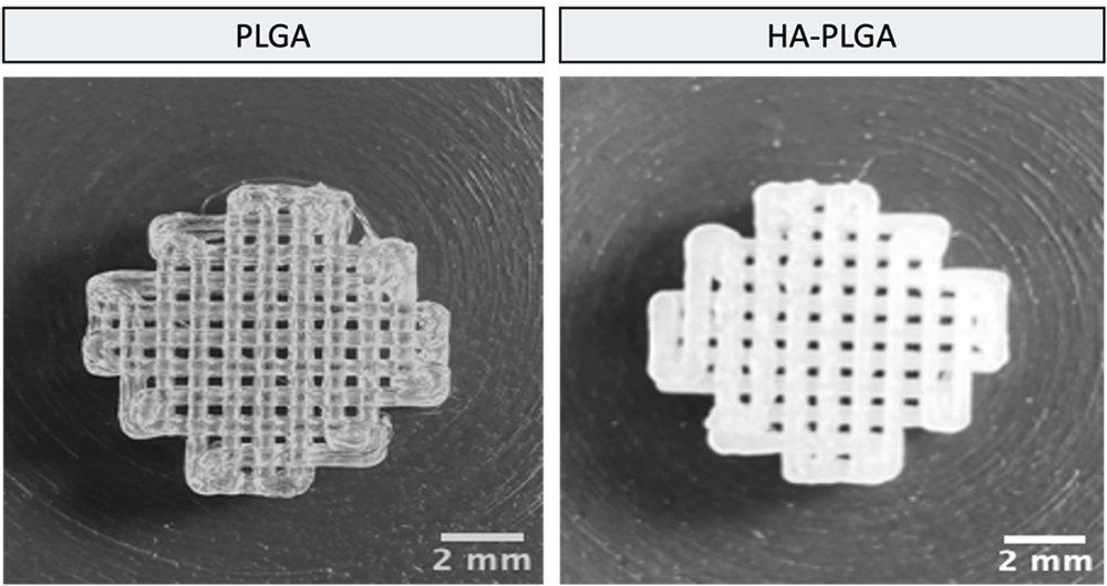 Building bones: 3D printing the future of bone tissue engineering