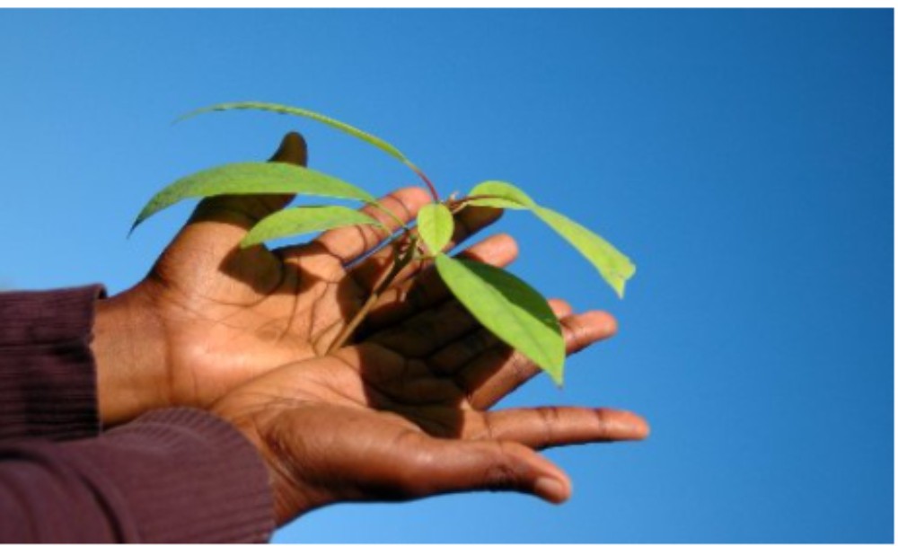 Muslims in Britain and Environmental Sustainability Conference 2021