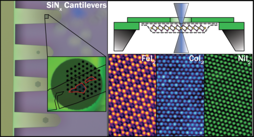 First atomic‑scale images of monolayer transition metal diiodides