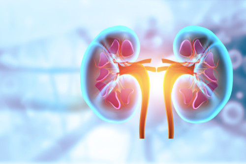 Scientists discover new ways to predict course of chronic kidney disease