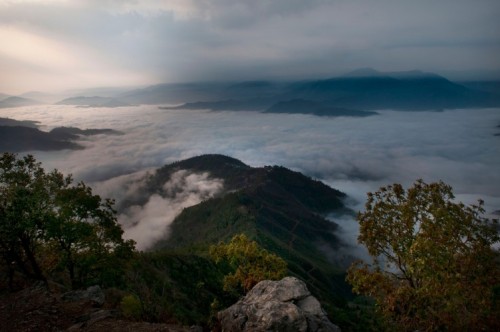 New research shows community forest management reduces both deforestation and poverty