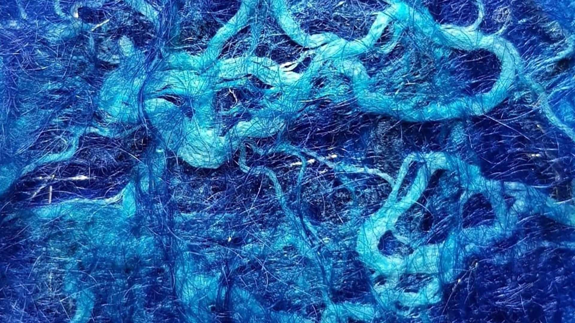 Making Fashion Sustainable Growing Fabrics Making Fashion Sustainable Growing Fabrics