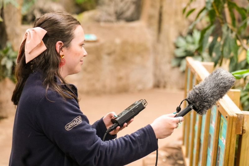 Rebecca Lewis, Chester Zoo
