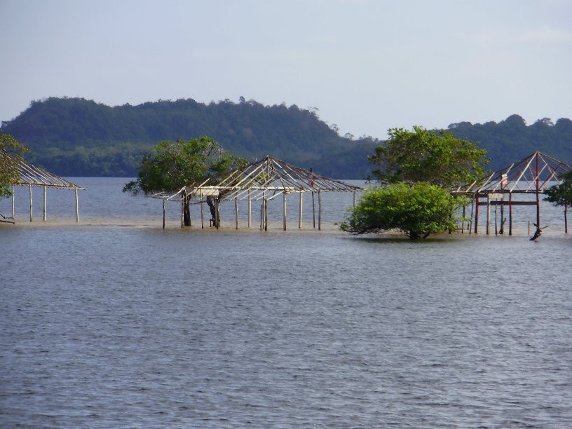 Community-Led Biodiversity Monitoring in the Amazon