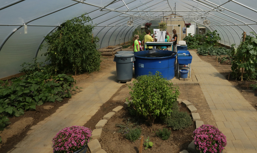 Children in greenhouse
