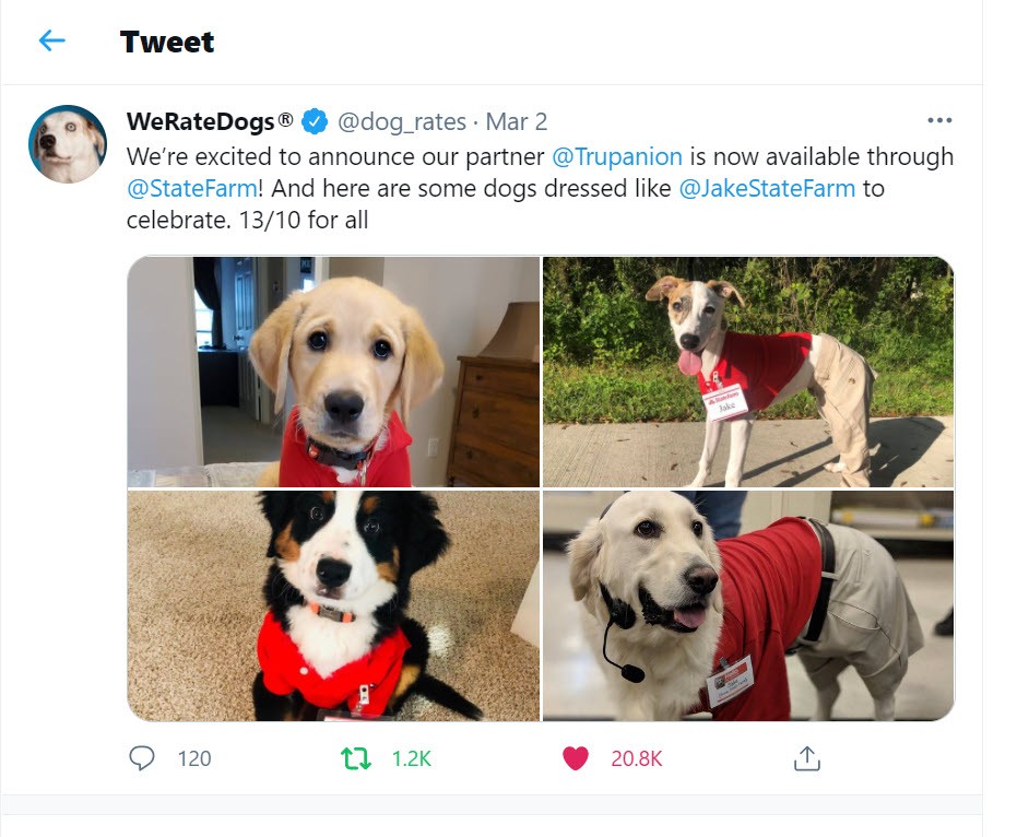 We Rate Dogs Twitter post