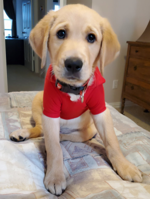 Tavi in a Jake shirt