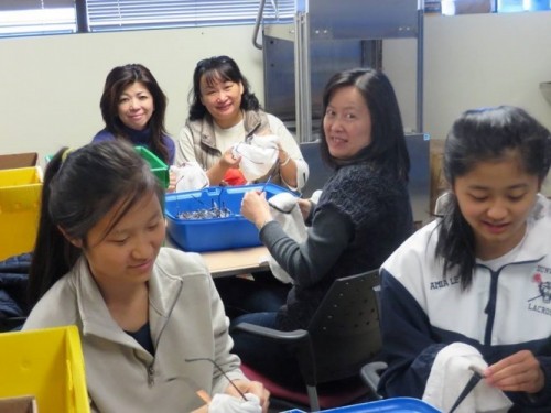 Chinese-American LEO Club cleans donated glasses at Lighthouse Foundation Headquarters