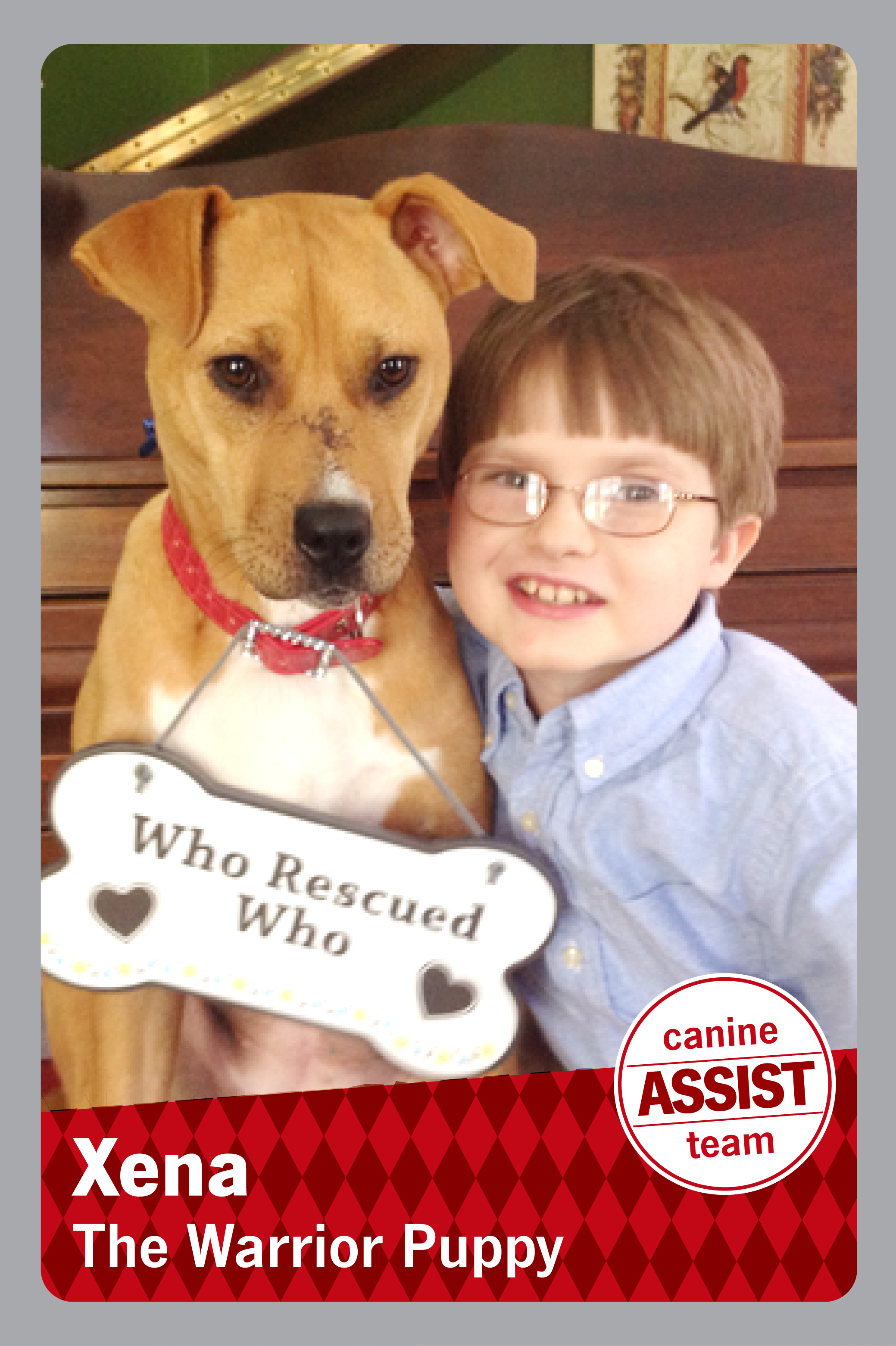 picture of boy with glasses on on hugging a dog that has a bone shaped sign hanging from his collar that reads Who rescured who and then it reads Xena The warrior Puppy
