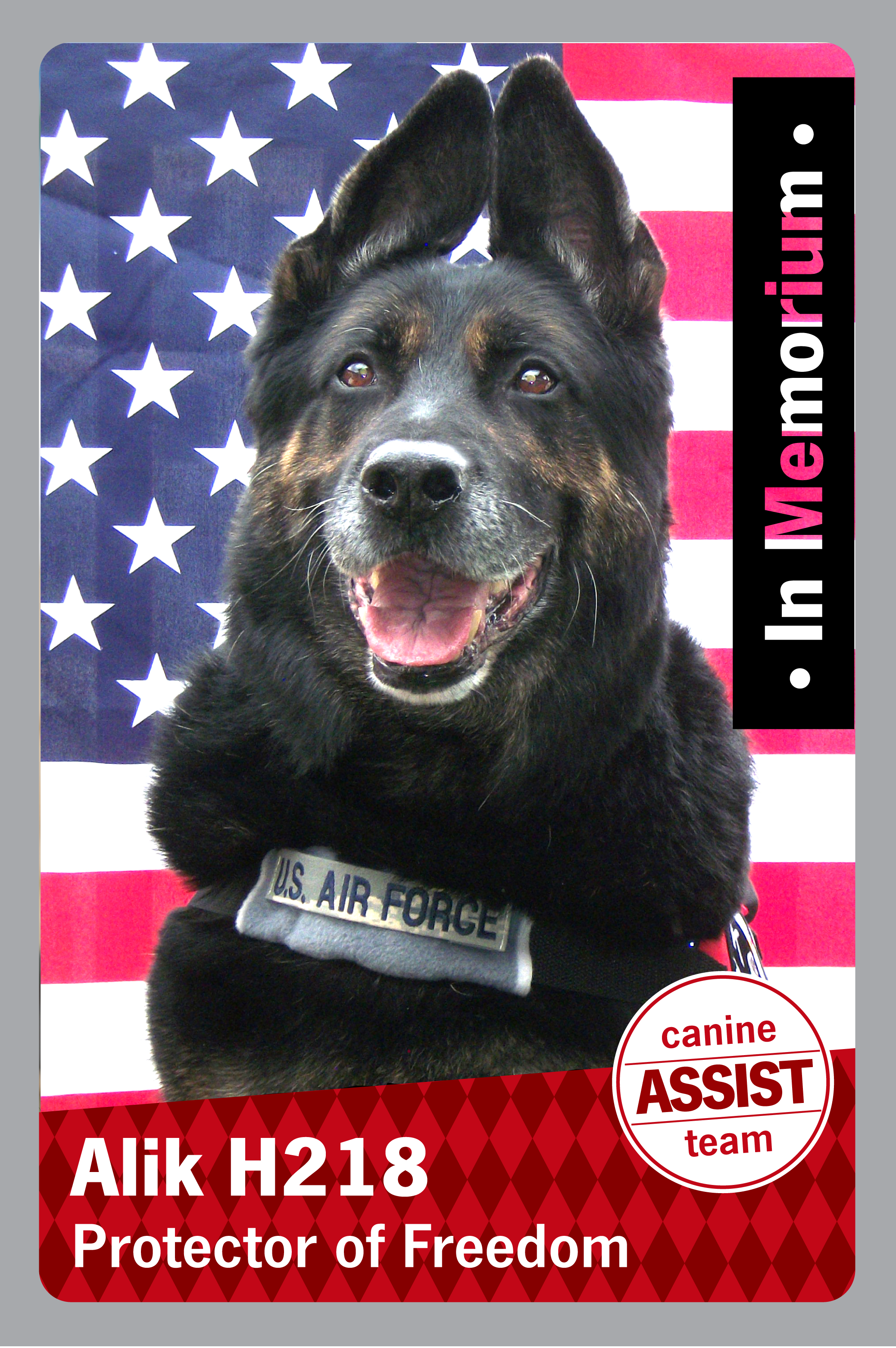 A picture of a dog with his ear straight up with the caption Alik H218 Protector of freedom