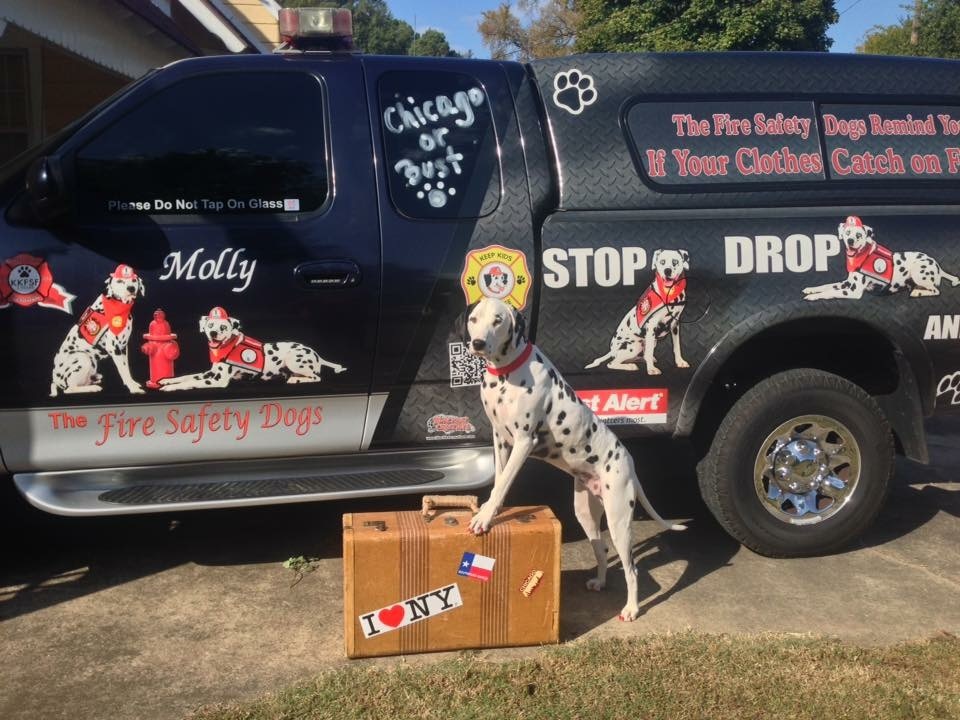All packed and ready to go! Molly the Fire Safety Dog has a busy travel schedule.