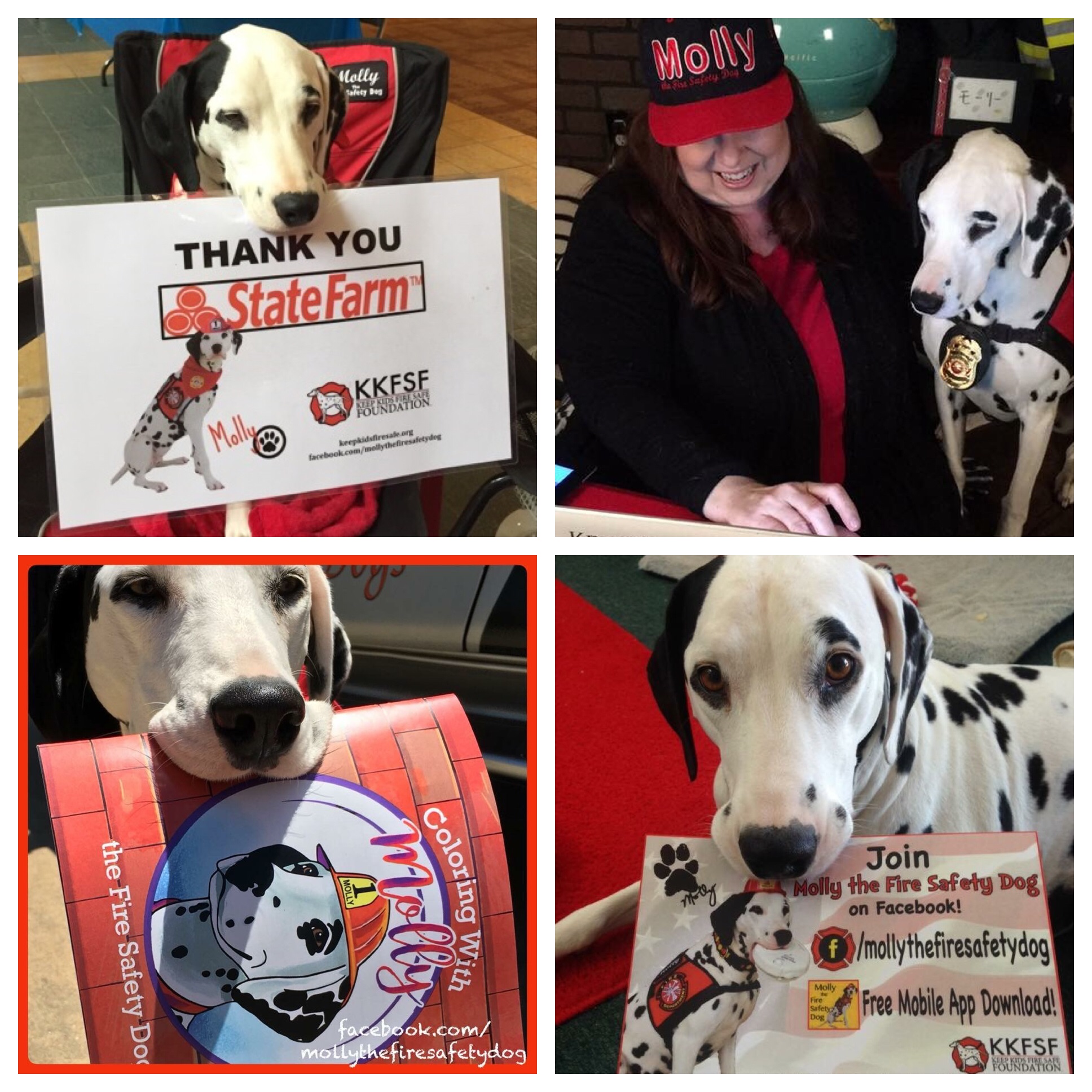 With the help of State Farm, Molly the Fire Safety Dog and her handler Dayna Hilton take action to keep kids safe. 