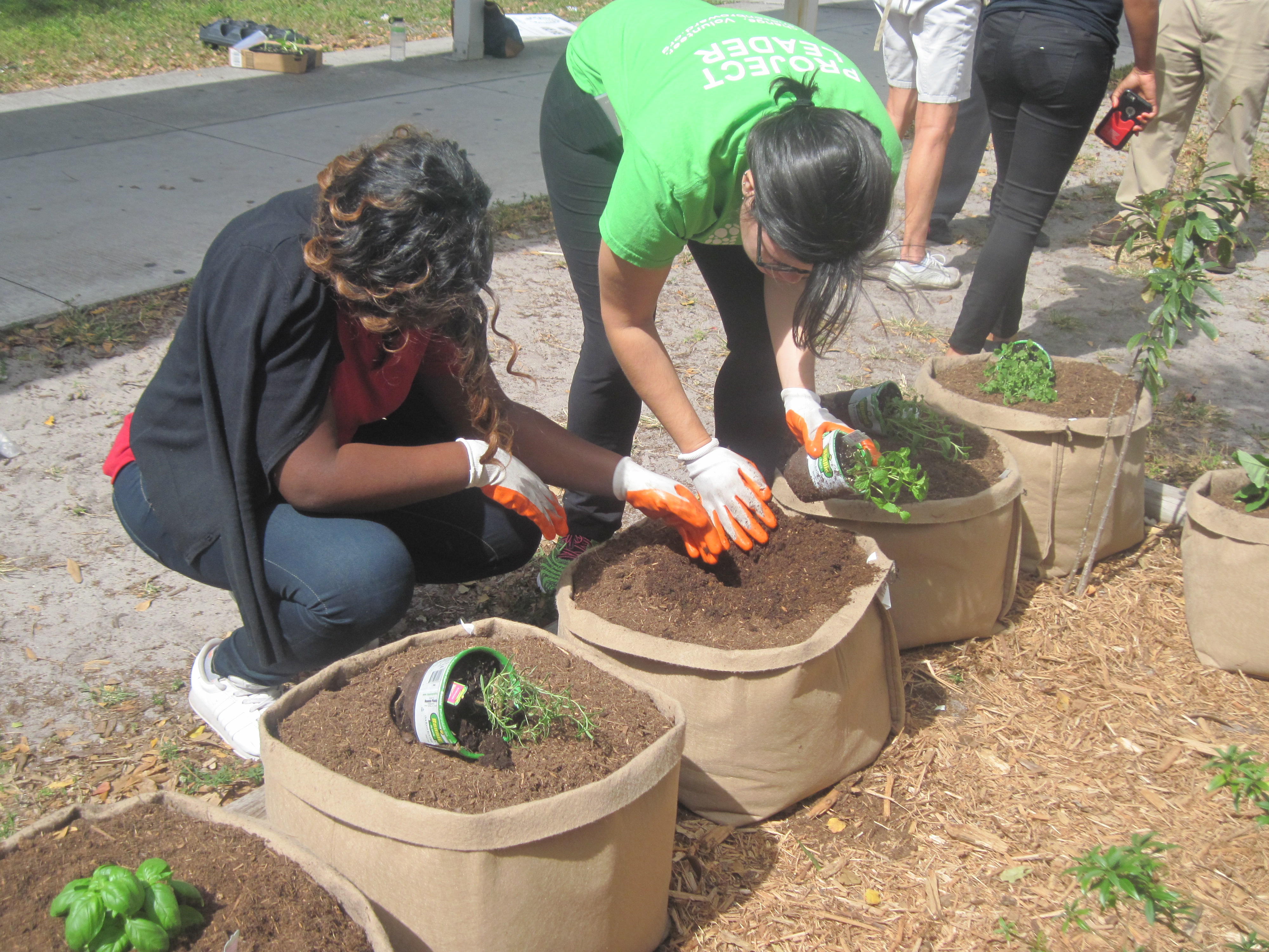 2 students bending over to plant plant garden bags