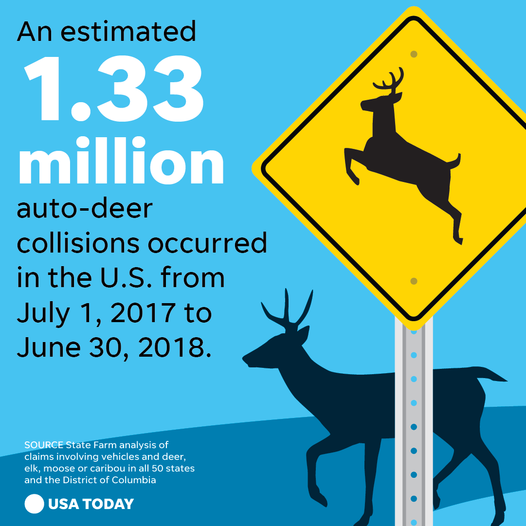 Deer Crashes Down, But Be Alert in the Fall State Farm