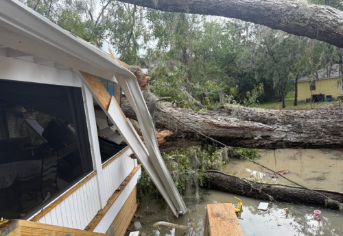Adjusters assist this homeowner after a tree falls on home