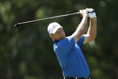 Goosen