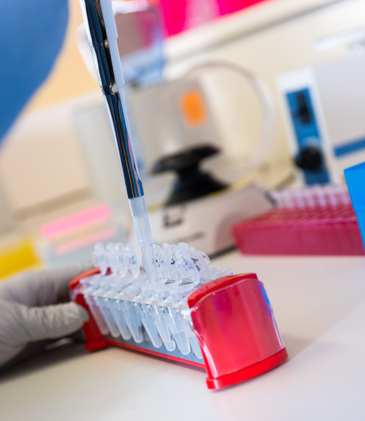 The New York Times Scientists Finish the Human Genome at Last