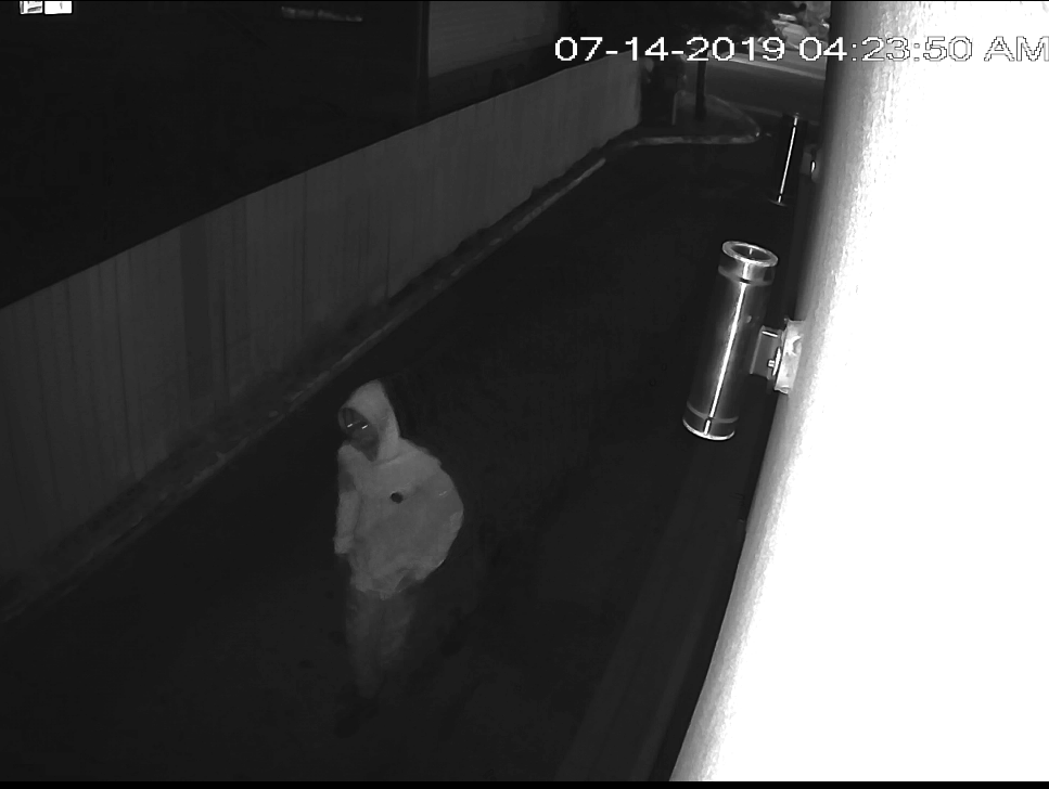 20-07-14 Sex assault suspect