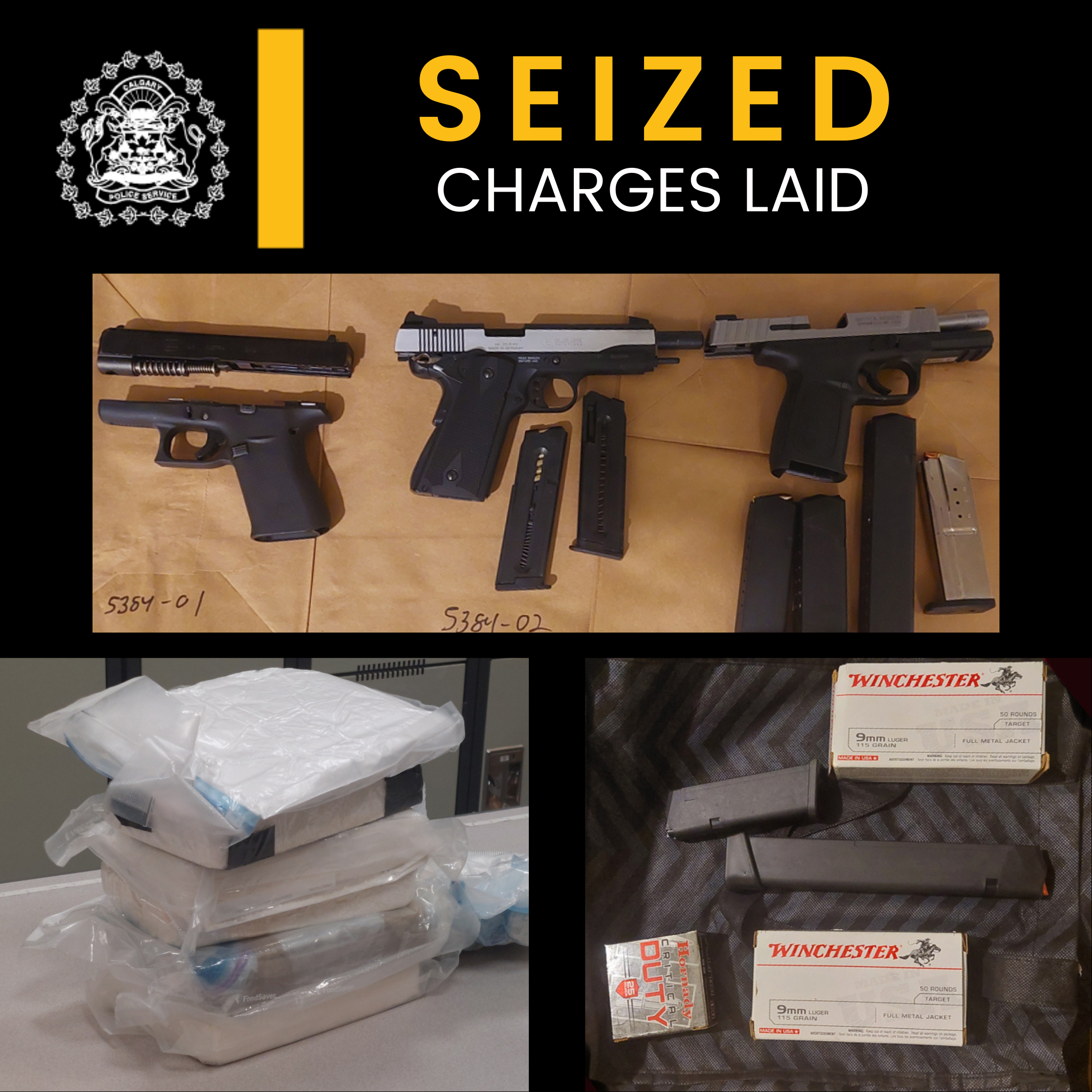 Seized Guns, drugs seized from Airbnb