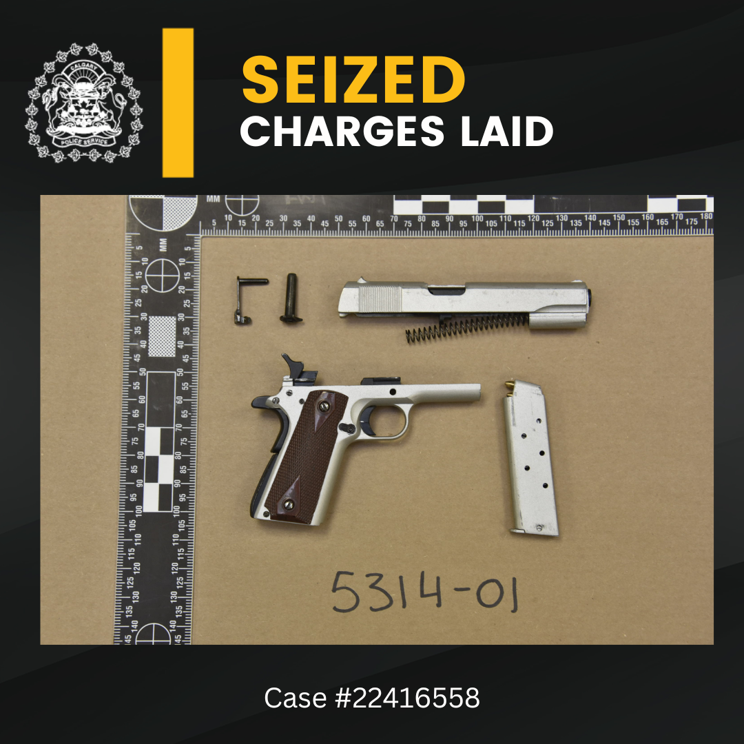 Road rage involving gun leads to charges