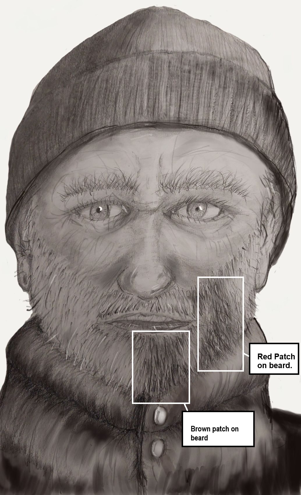 Need to identify suspect in indecent act