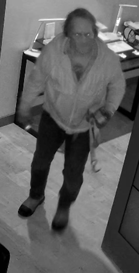 Police seek to identify two break and enter suspects