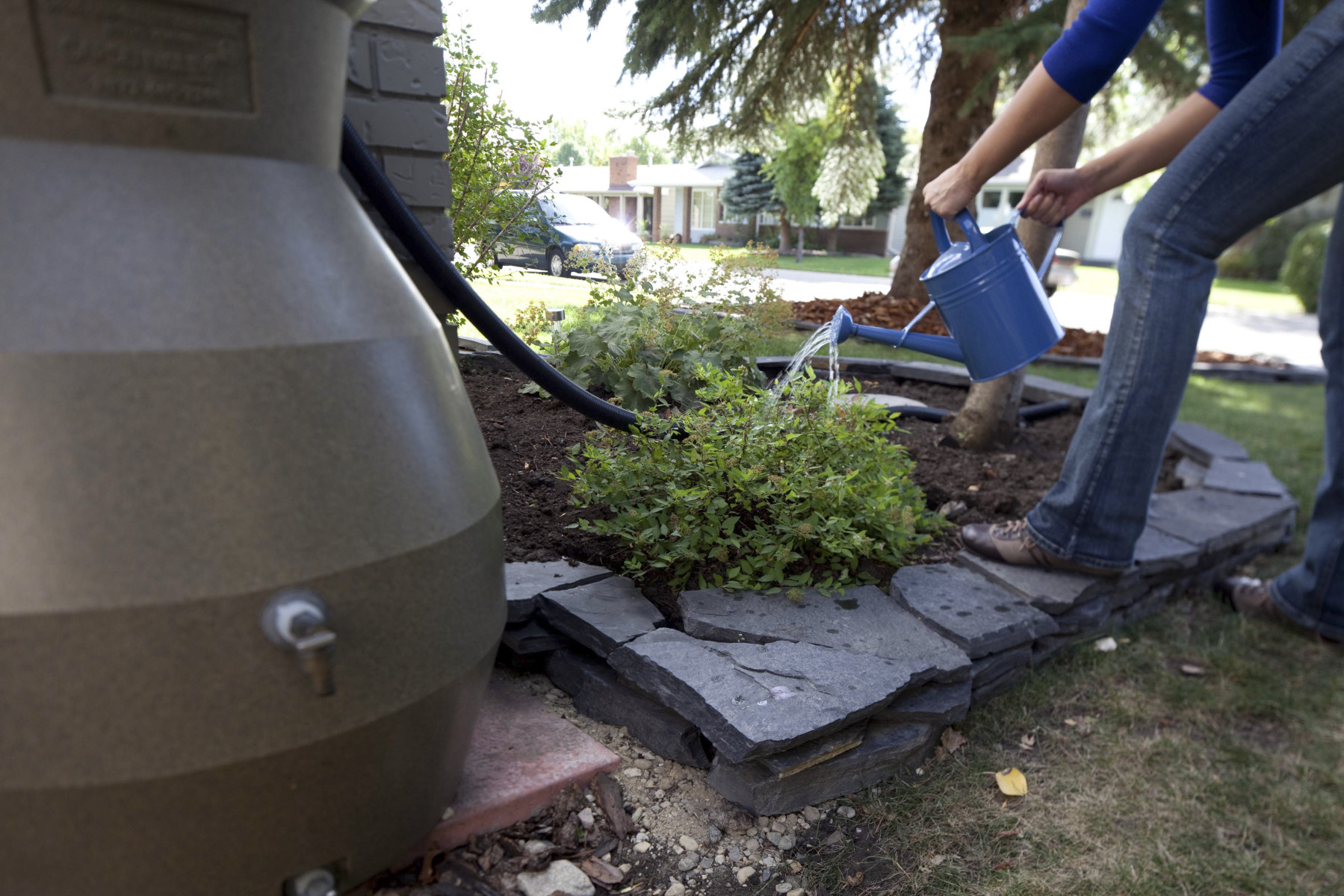 The City and Green Calgary introduce new rain barrel rebate program for