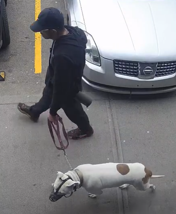Police seek public assistance in identifying bike theft suspect