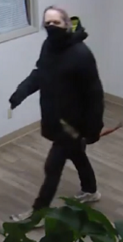 Police seek to identify two break and enter suspects