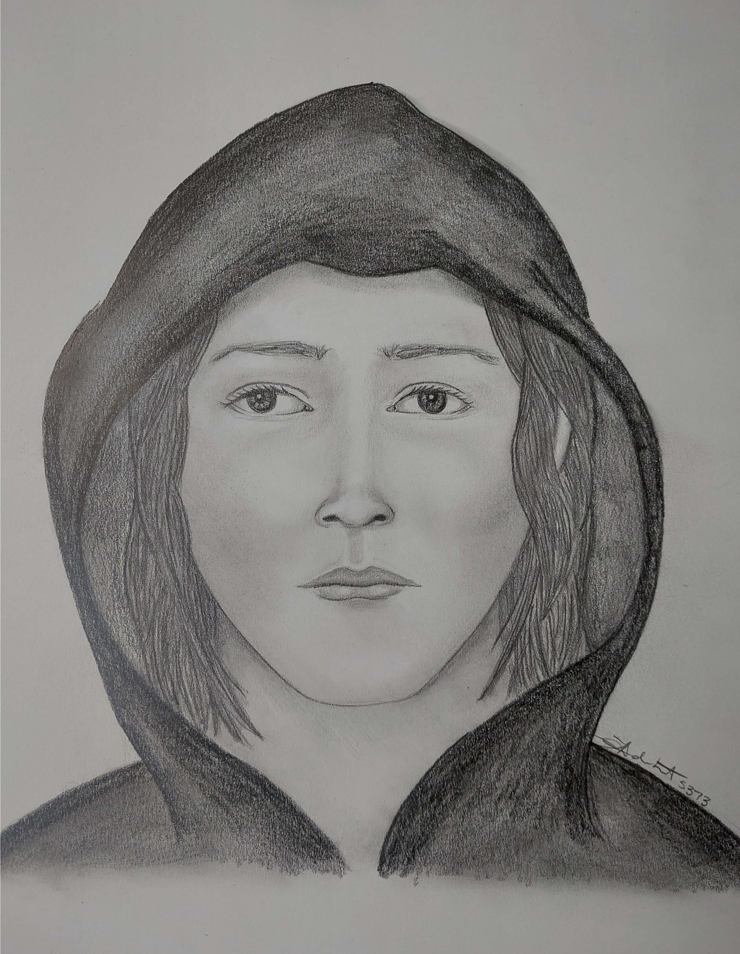 Fatal Rye Home Invasion: Suspects In Custody - 9az11se