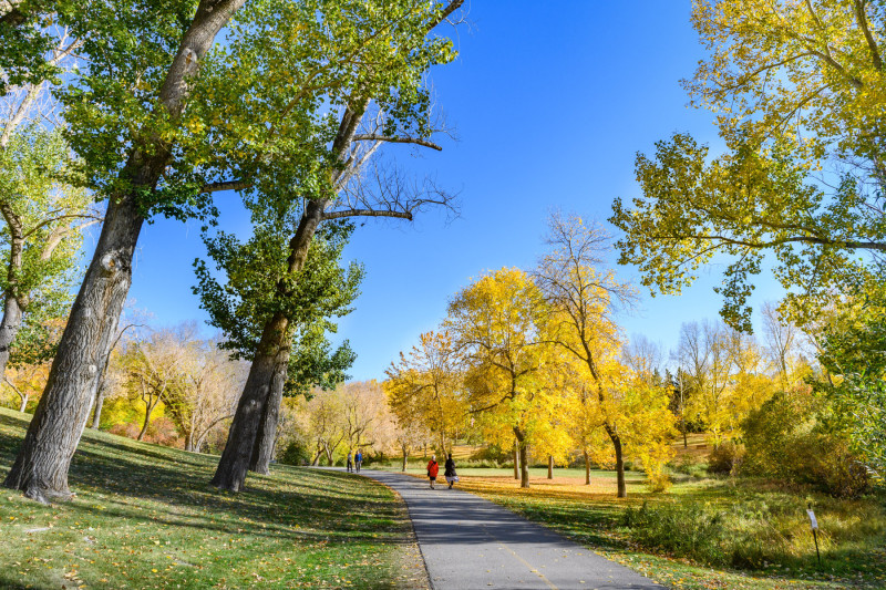 Calgary Charts a Greener Future with Bold New Parks Plan
