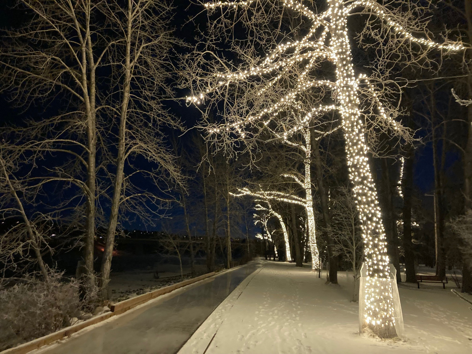Bowness ice trail