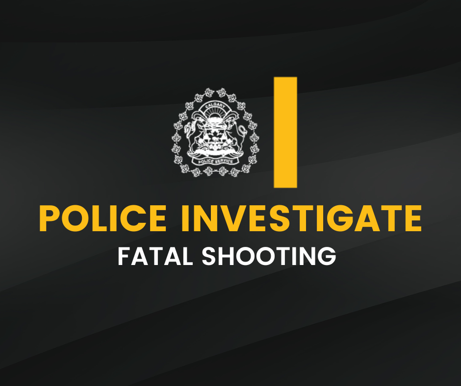Fatal Shooting in Martindale