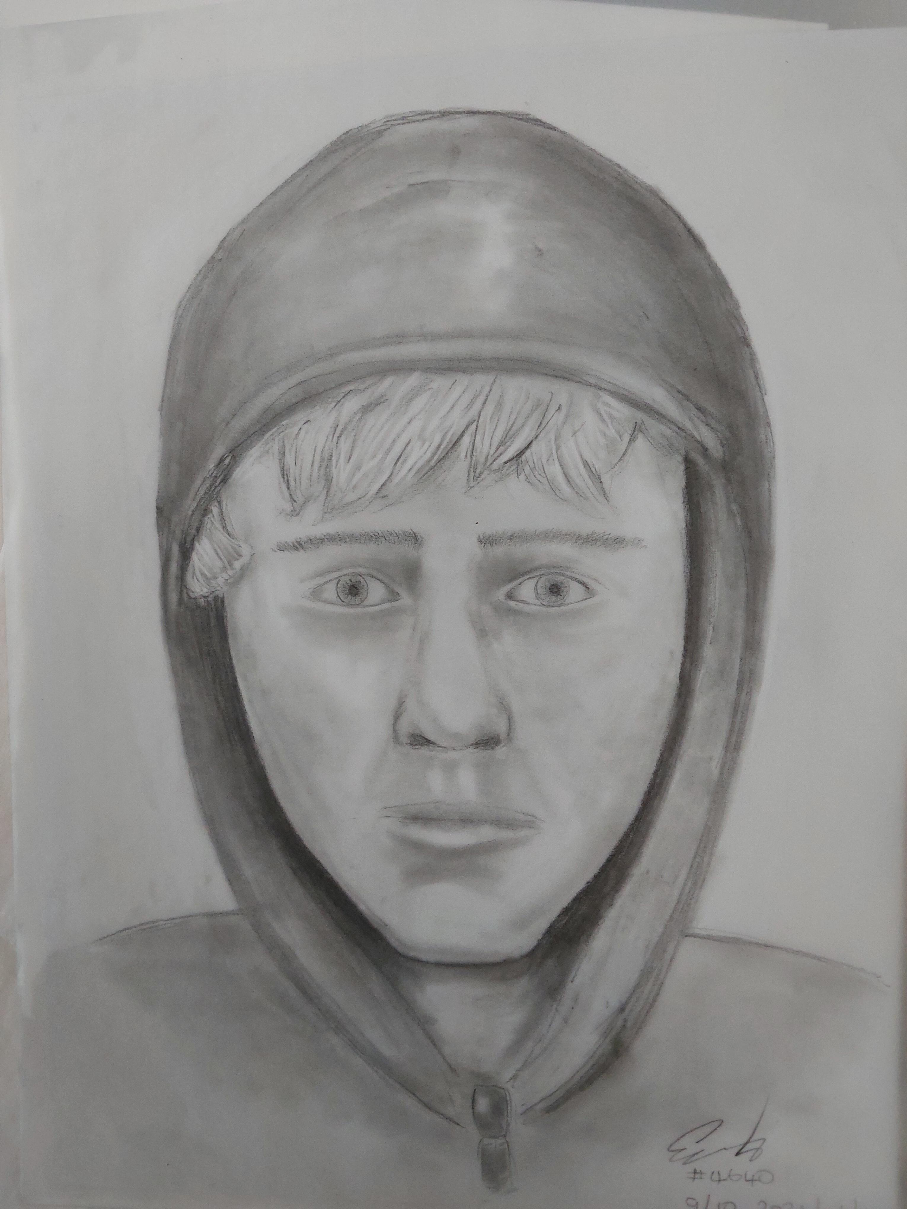Police release composite sketch of Fish Creek Park sexual assault suspect