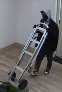 Police seek to identify two break and enter suspects