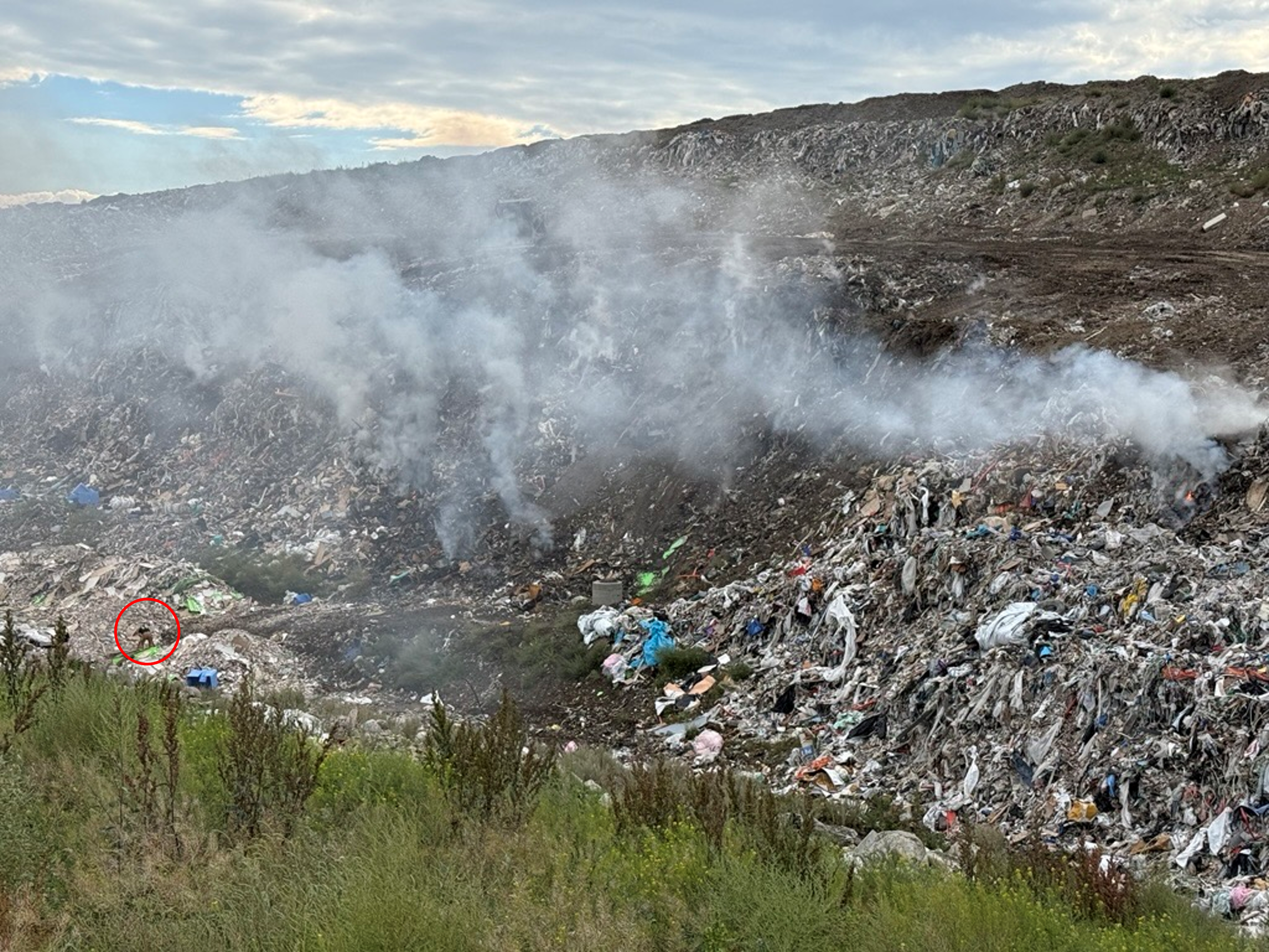 Sept 8 on scene firefighter next to landfill fire area