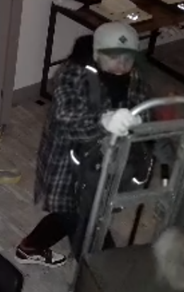 Police seek to identify two break and enter suspects